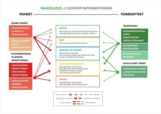 Paineet maatalous